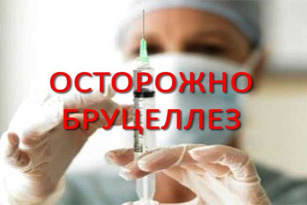 В регионе напомнили о риске заражения бруцеллёзом В регионе напомнили о риске заражения бруцеллёзом